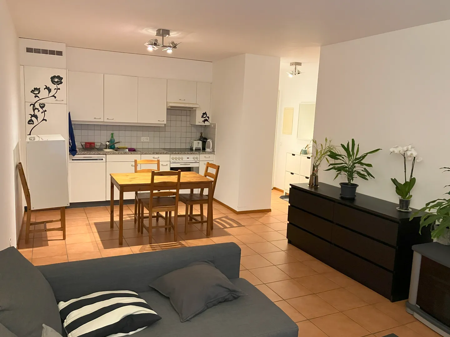BARBENGO - TWO AND A HALF ROOM APARTMENT FOR RENT - Photo 3 of 6