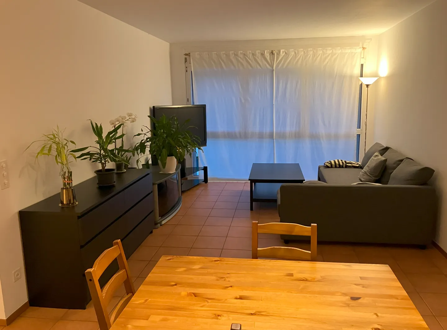 BARBENGO - TWO AND A HALF ROOM APARTMENT FOR RENT - Photo 4 of 6