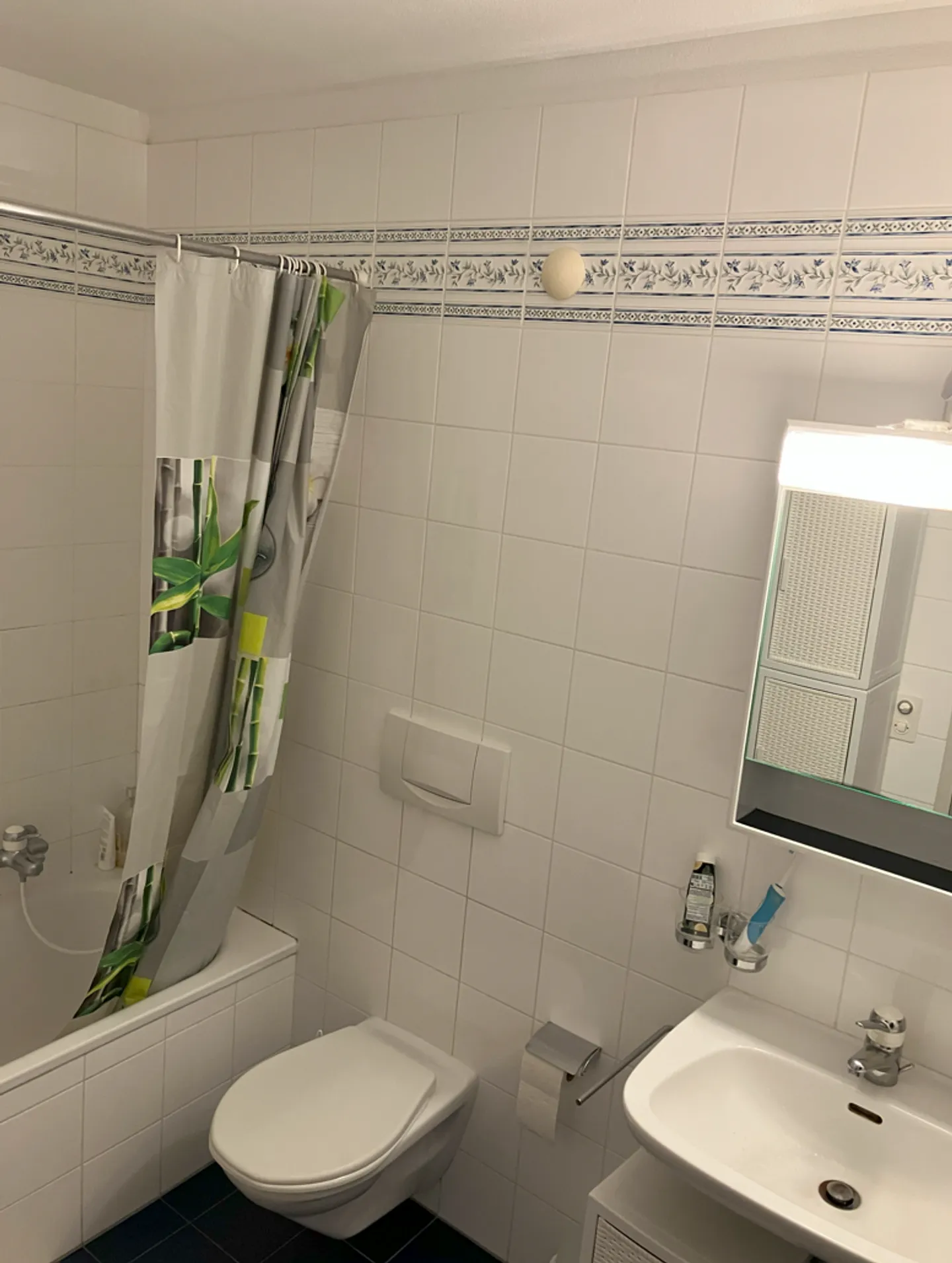 BARBENGO - TWO AND A HALF ROOM APARTMENT FOR RENT - Photo 6 of 6