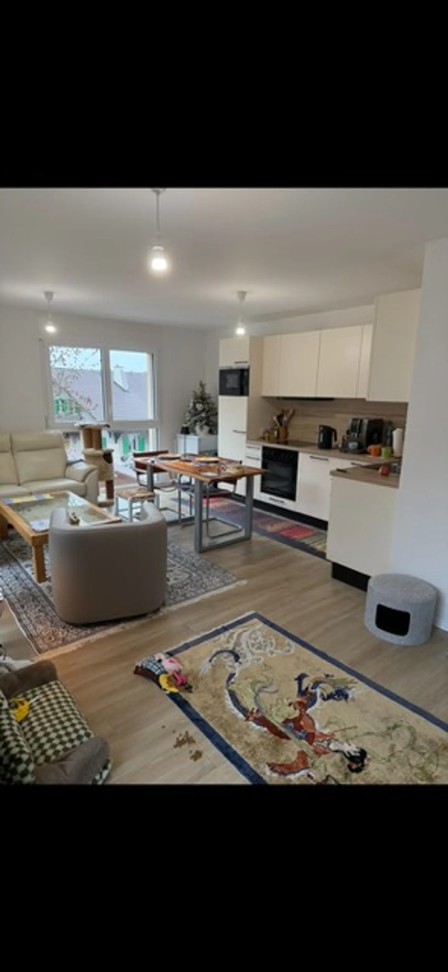 Magnificent 3.5-room apartment with plenty of light and beautiful views - Photo 22 of 26