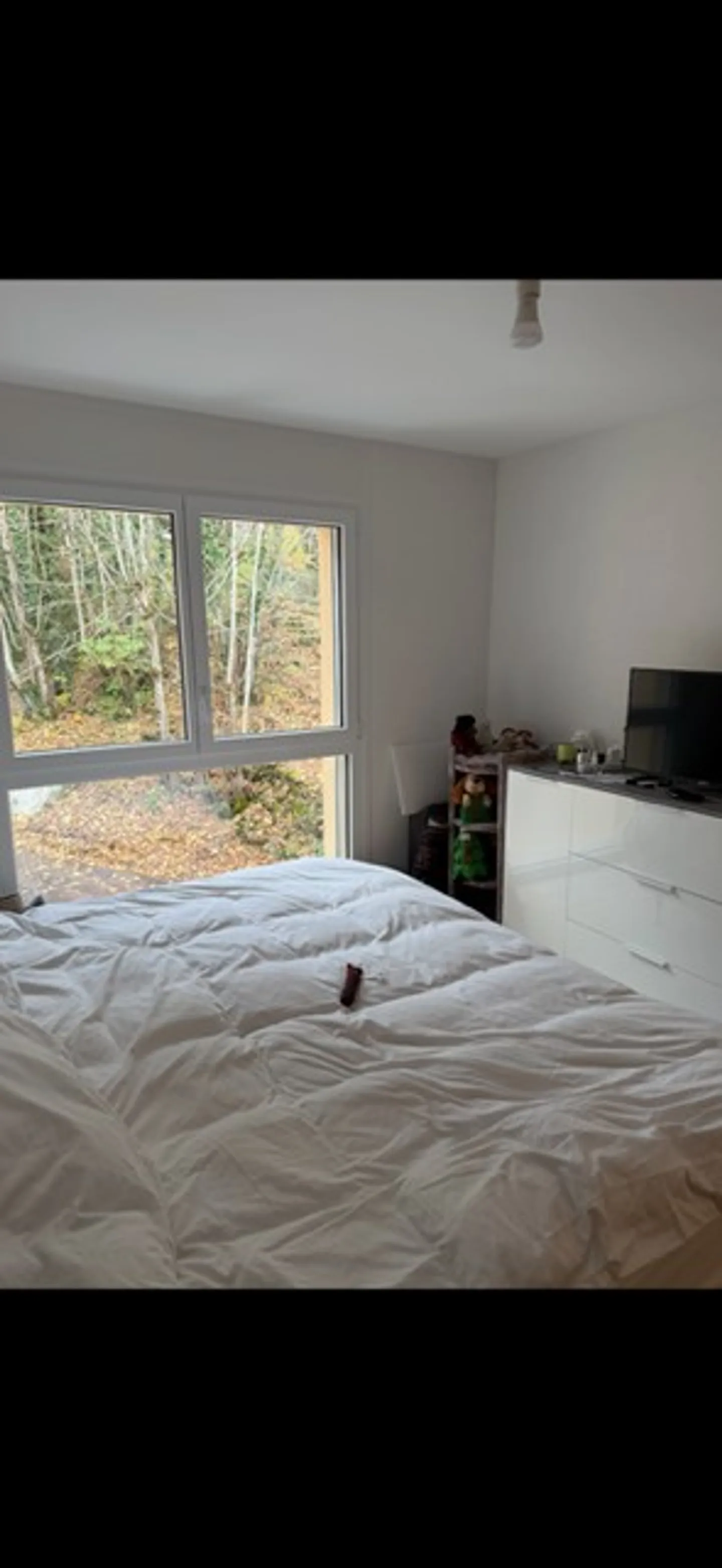 Magnificent 3.5-room apartment with plenty of light and beautiful views - Photo 23 of 26