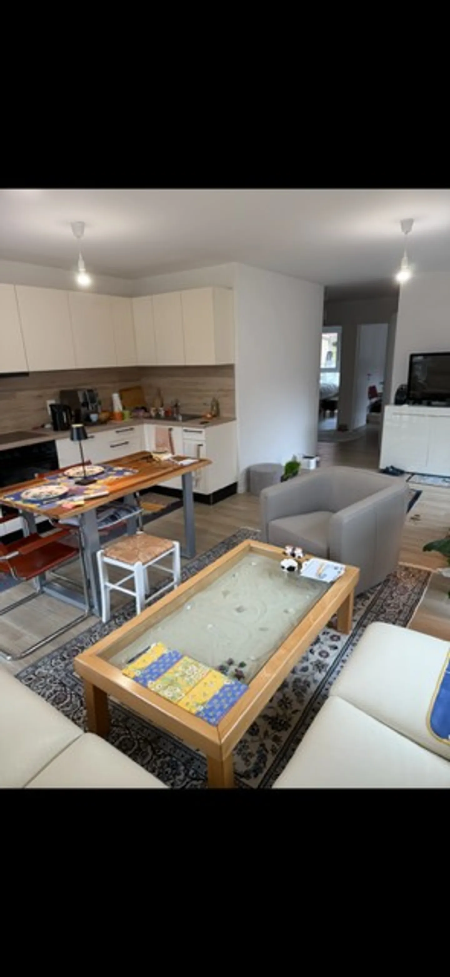 Magnificent 3.5-room apartment with plenty of light and beautiful views - Photo 26 of 26