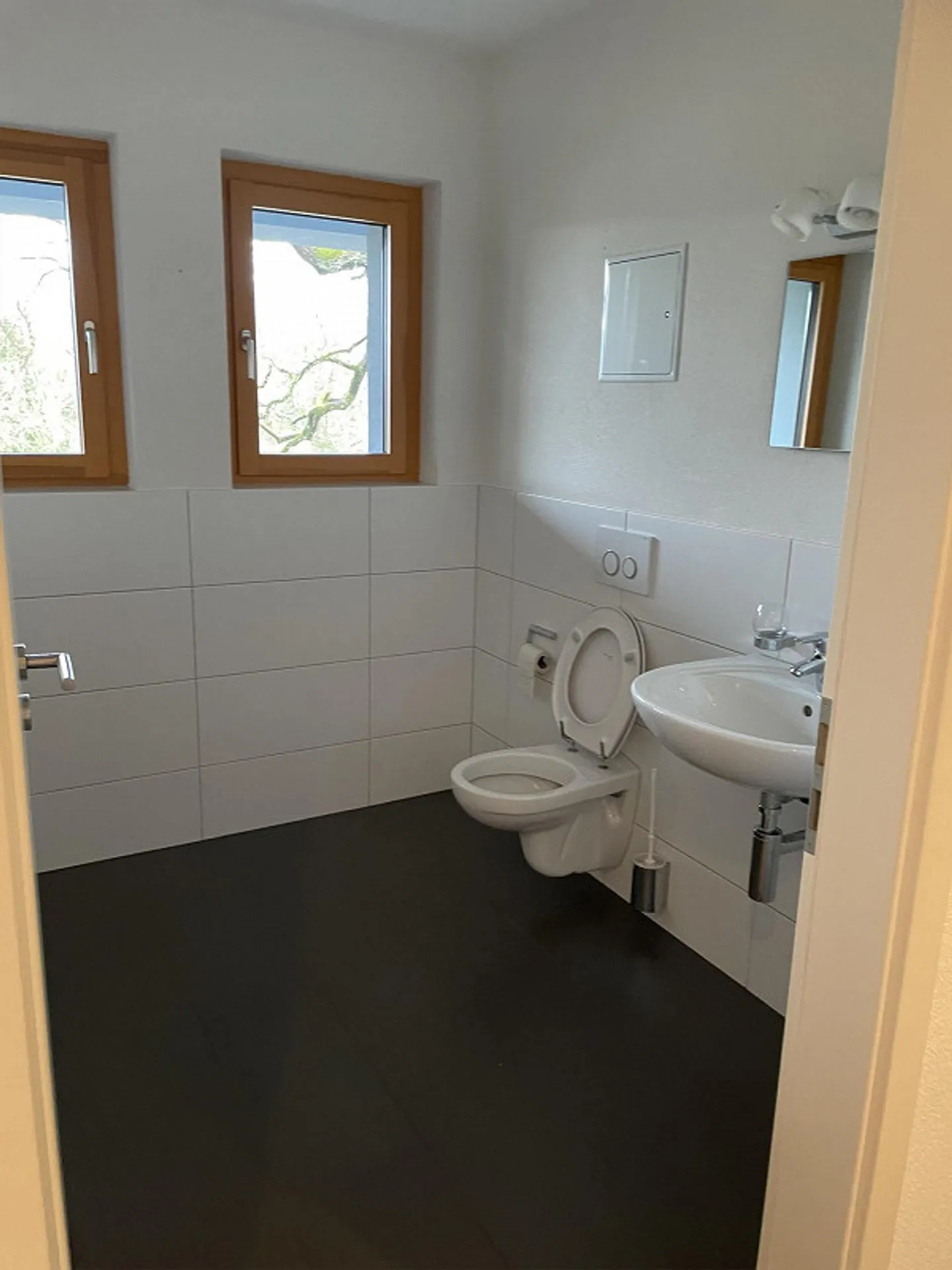 Ergolzpark - Blick aufs Naturschutzgebiet Ergolzmündung - Photo 5 of 8