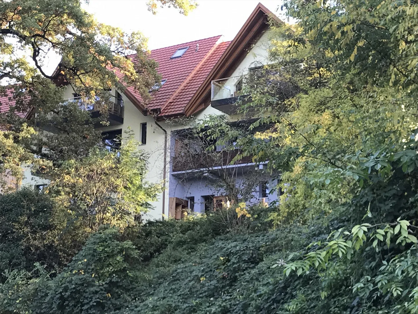 Ergolzpark - Blick aufs Naturschutzgebiet Ergolzmündung - Photo 8 of 8