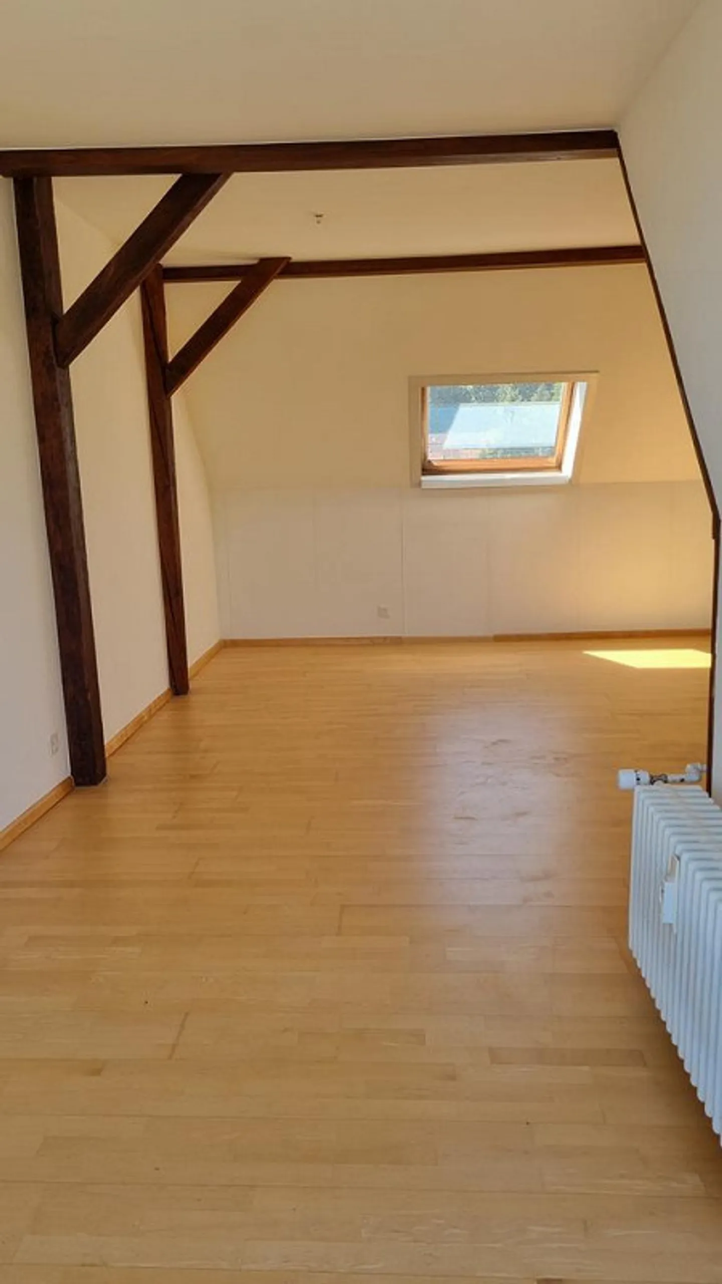 Bright apartment with rooftop terrace for subletting until 31.10.2027 - Photo 12 of 12