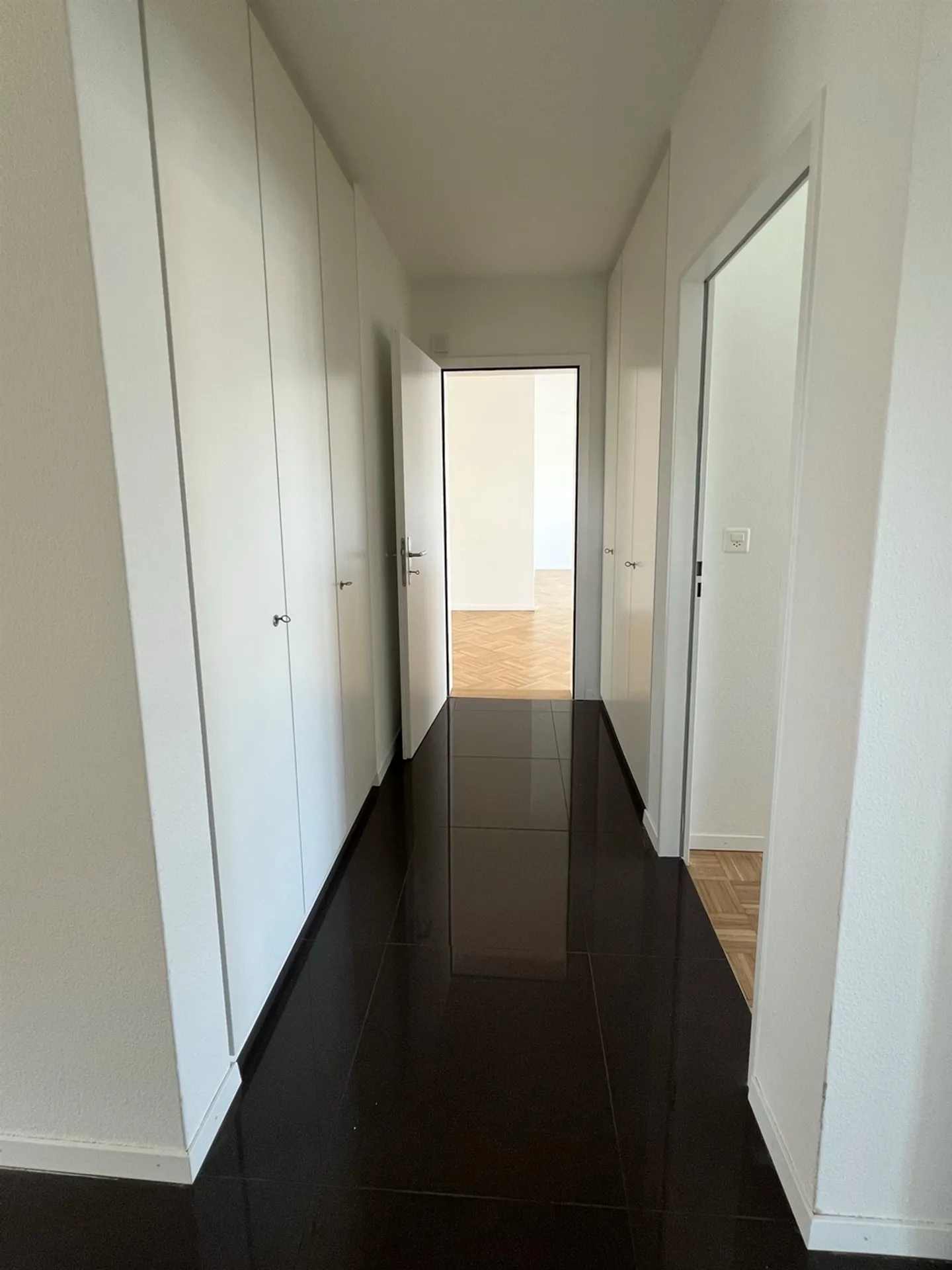 Living with Style - Spacious Penthouse Apartment in the Geissmatt Quarter - Photo 5 of 8