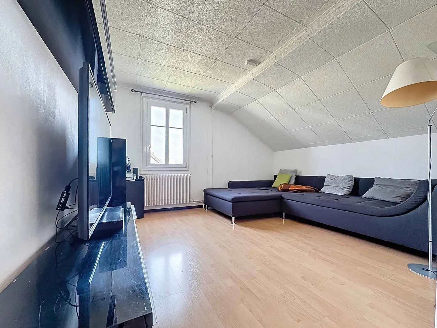 Investment Property with Garden - Photo 8 of 13