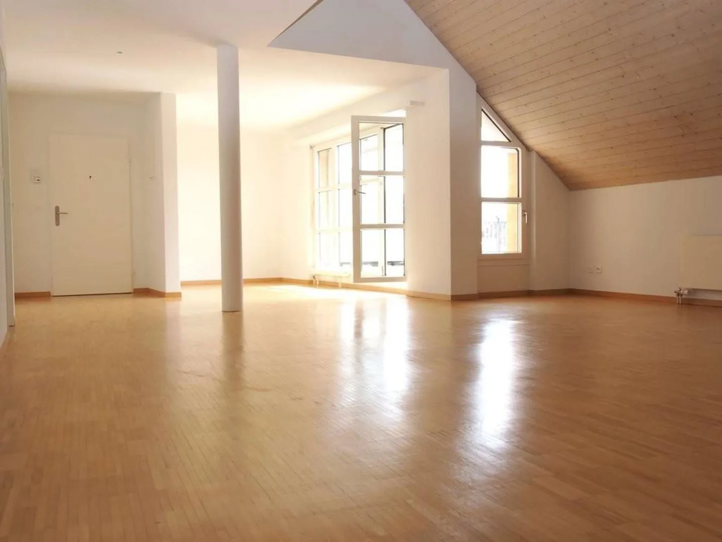 Penthouse with Lake View - Tax-Friendly Living in the Goethe Center - Photo 3 of 12