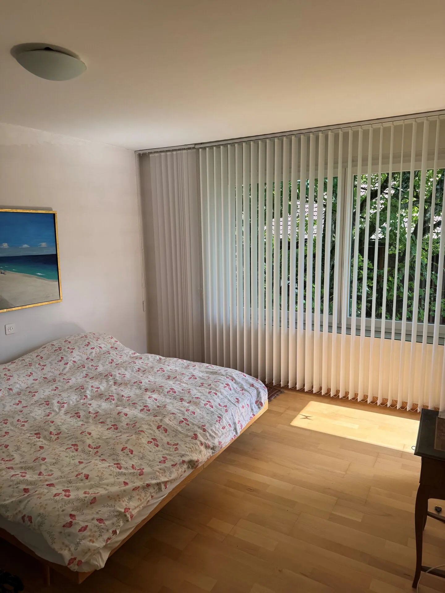 Attico 2.5 Stanze con Vista Lago e Montagna Non Ostacolata - Foto 19 di 26