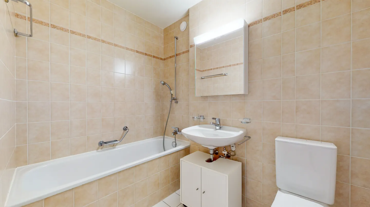 View of the Lake - Photo 9 of 10