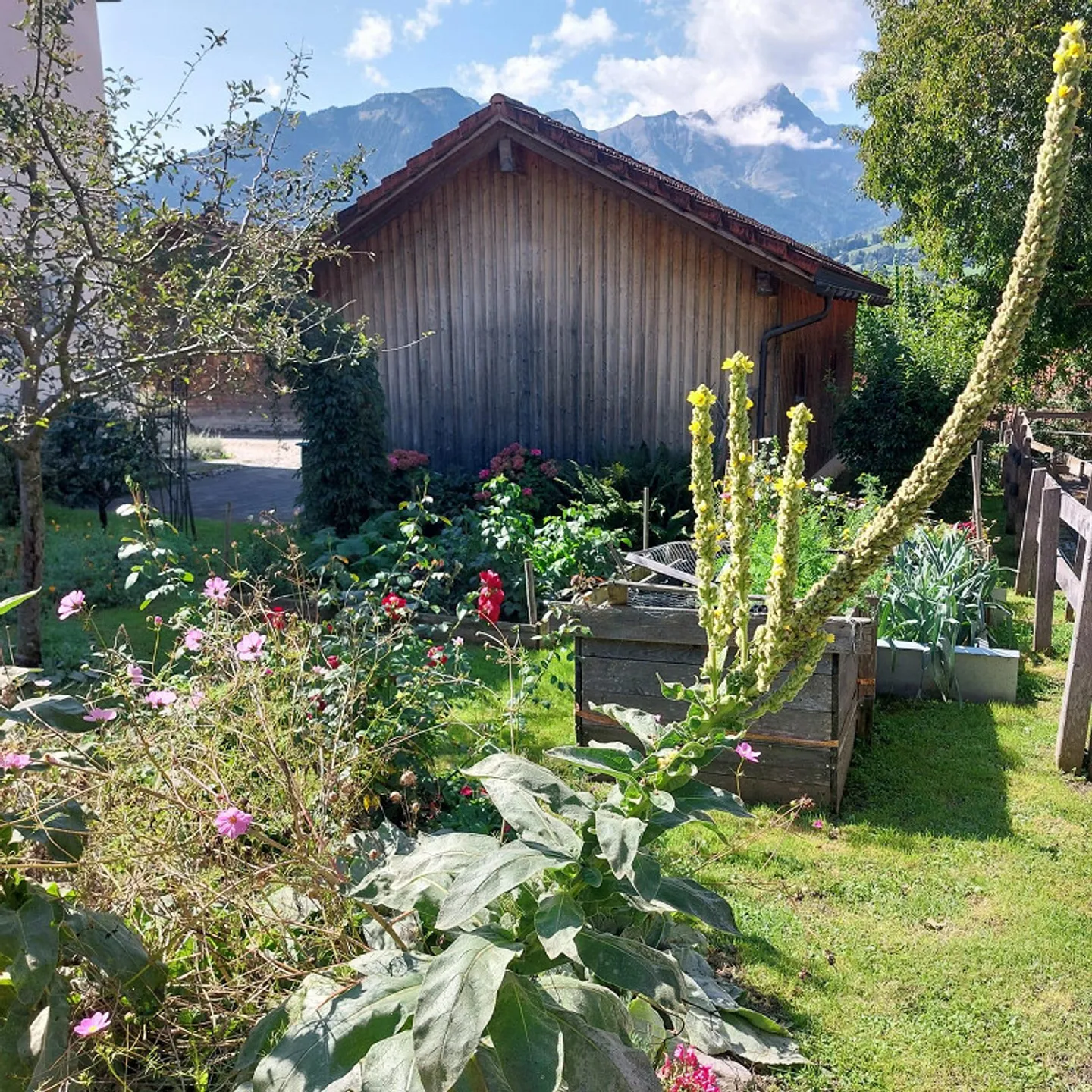 Maison multifamiliale rustique avec valeur historique - Photo 5 sur 29