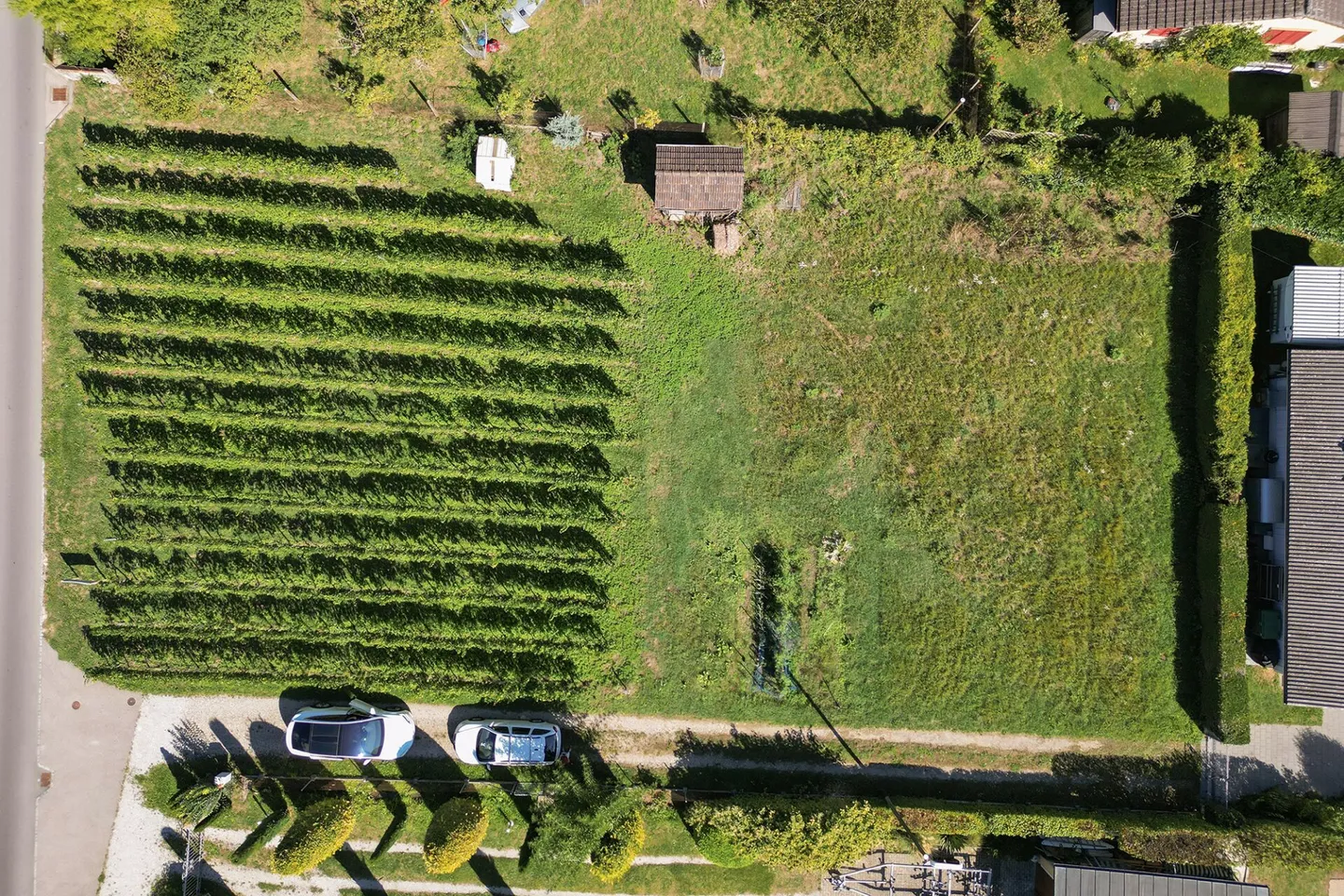 Terreno edificabile attraente in prossimità immediata del lago di Morat - Foto 6 di 6