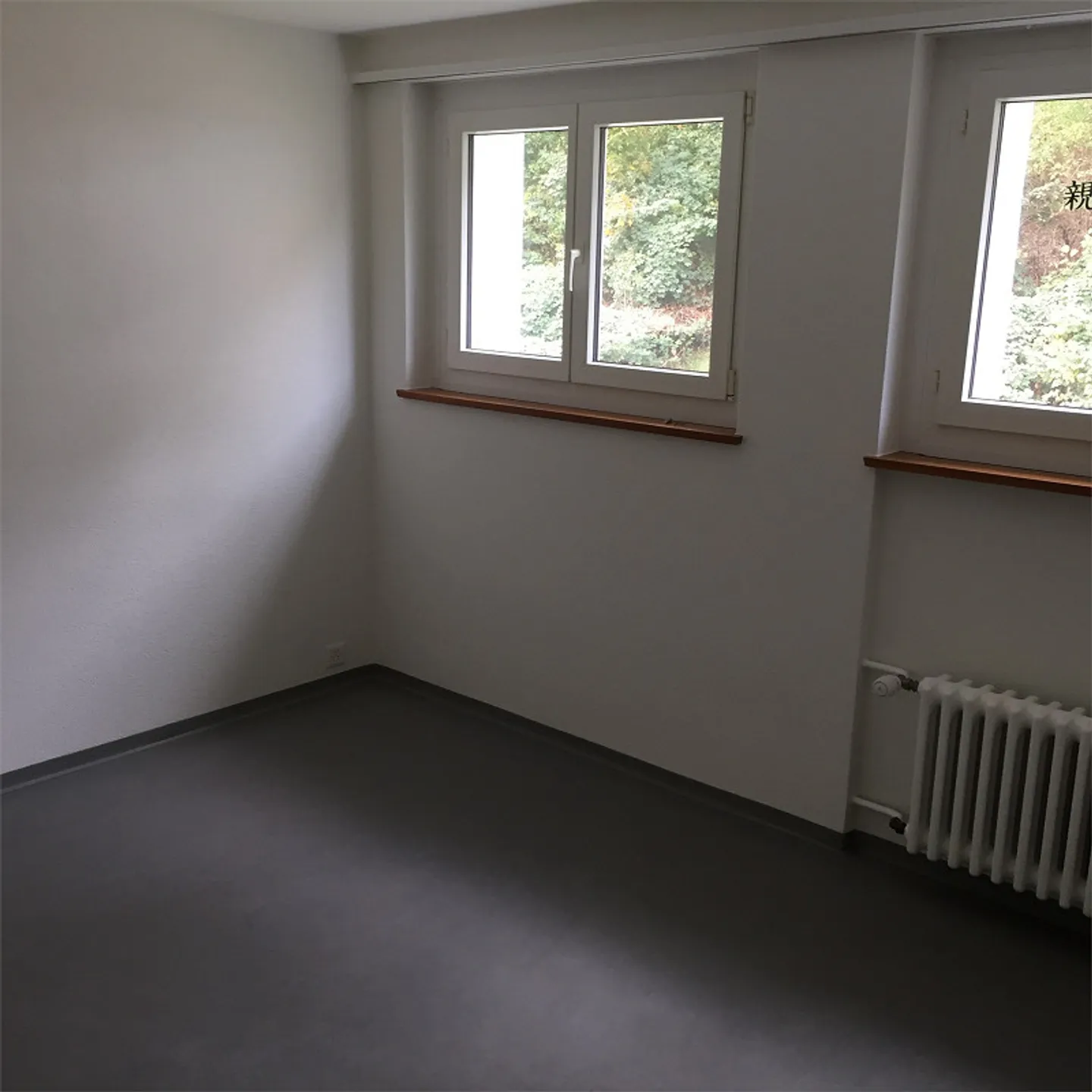 Sunny 4 1/2 room apartment with a view over Thusis - Photo 9 of 9