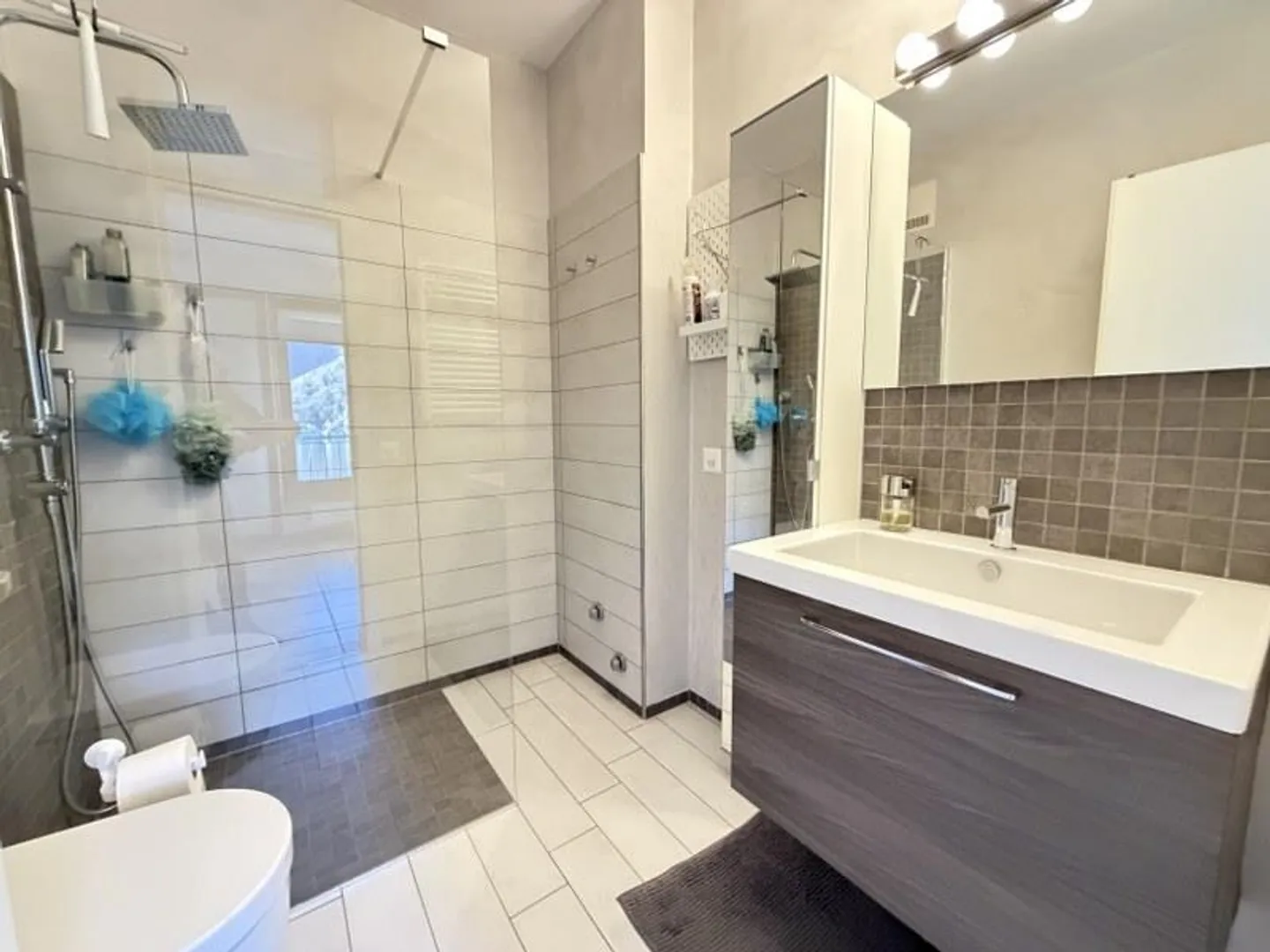 Elegant and Comfortable 2.5-Room Apartment, Directly on the Lake Shore - Photo 11 of 13