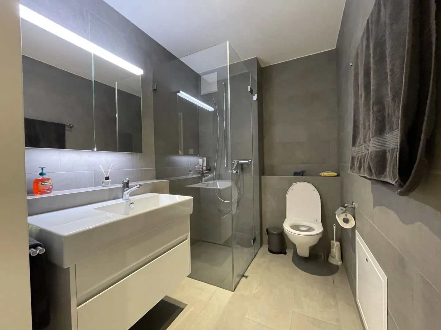 Stilvolles Loft mit Loggia in Pratteln - Foto 4 von 9