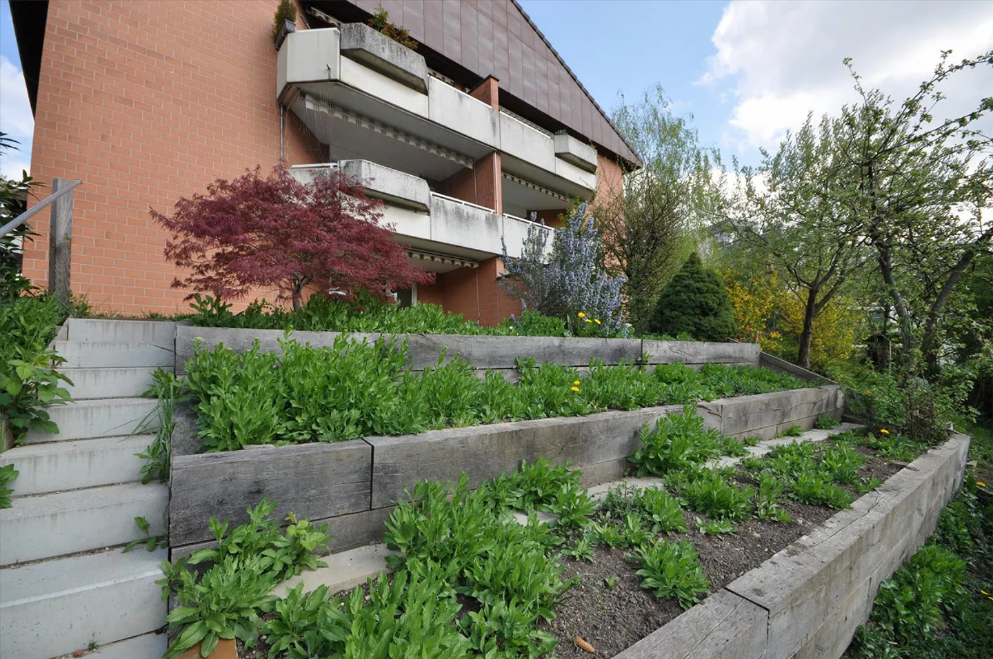 Vivere su Weidenweg: Luce, Parquet e la Tua Parte di Giardino - Foto 1 di 9