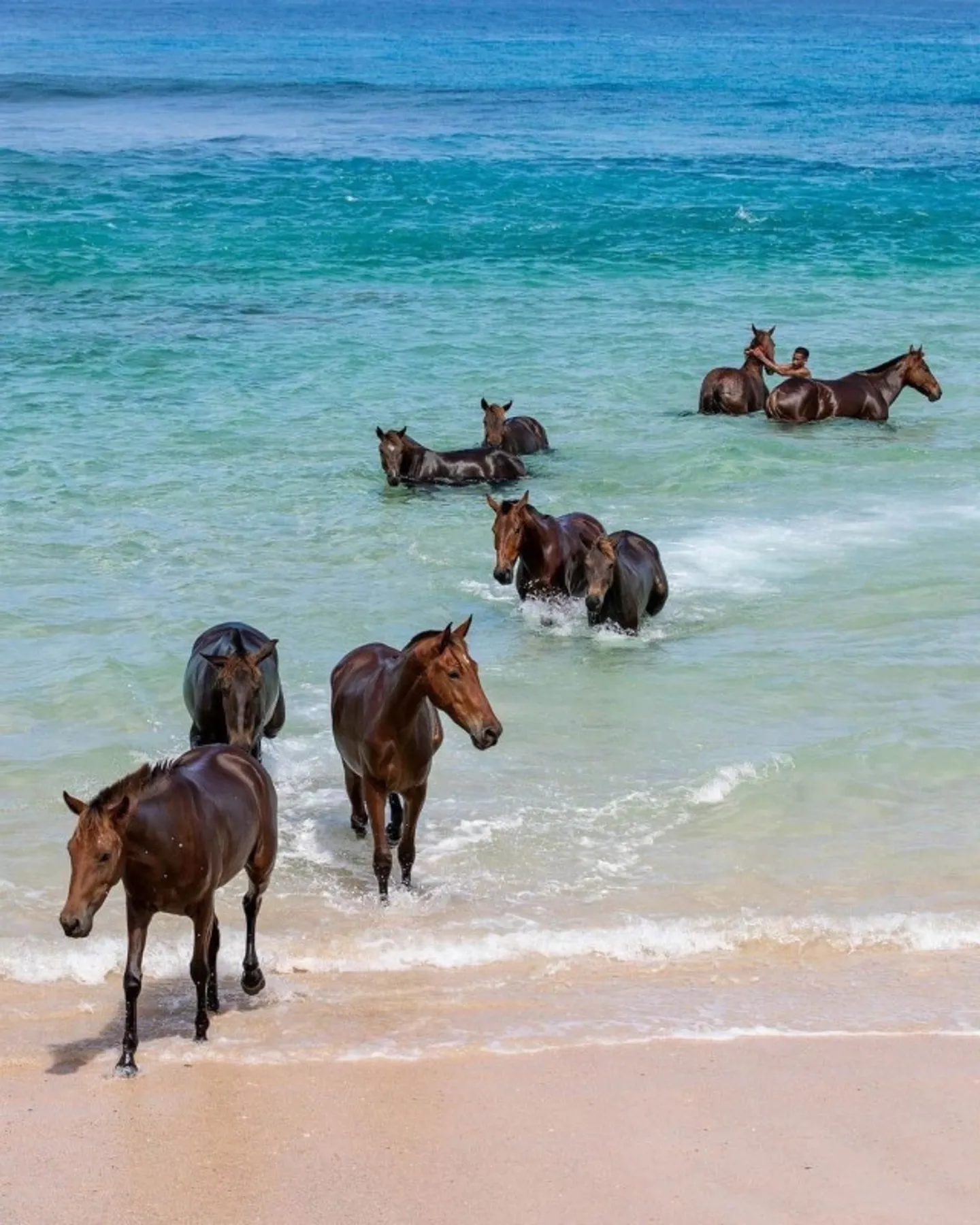 Exceptional villa with ocean view | Sumba, Indonesia | Opportunity - Photo 11 of 13