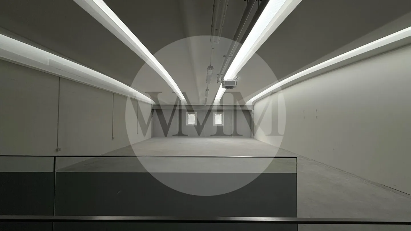 Spazio industriale a Losone - Foto 2 di 6