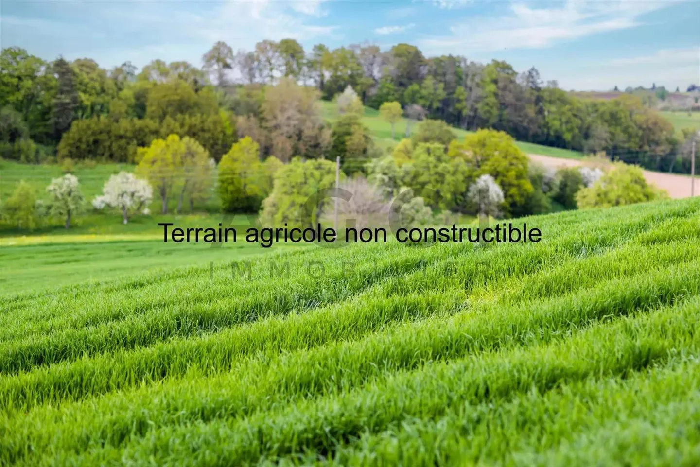 Terreno edificabile - Foto 1 di 1