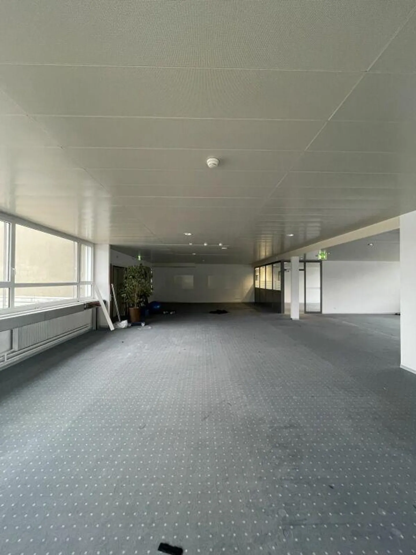 Ufficio e spazio commerciale in affitto - Foto 17 di 19