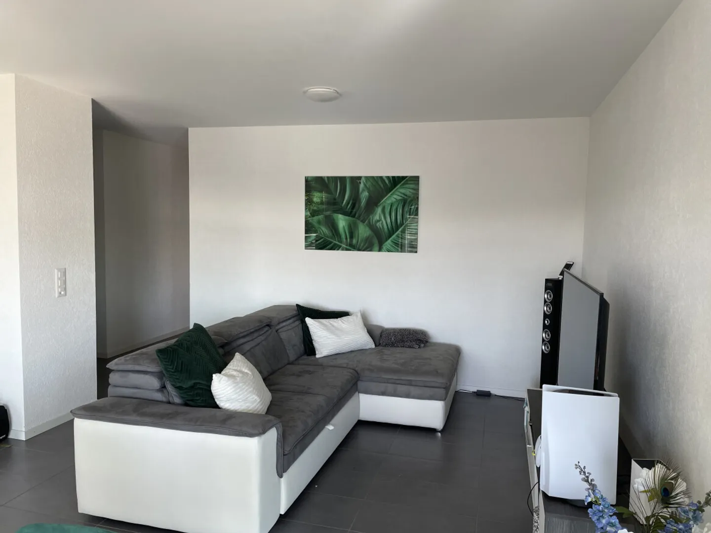 MAGNIFICENT APARTMENT WITH BALCONY 200M FROM THE LAKE - Photo 4 of 7