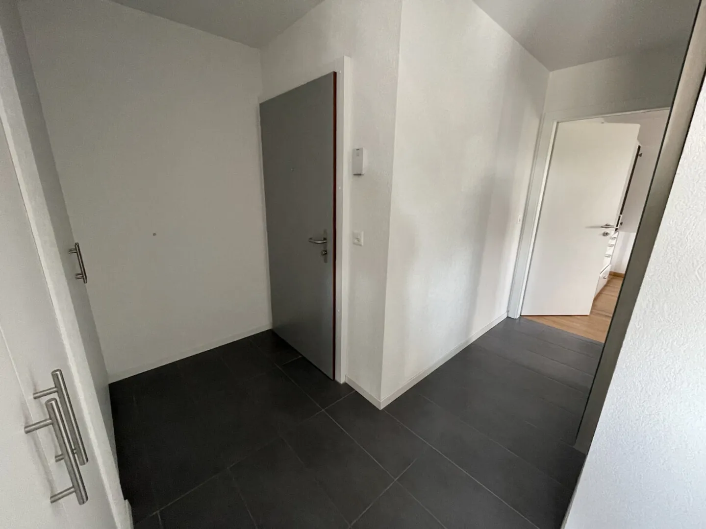 MAGNIFICENT APARTMENT WITH BALCONY 200M FROM THE LAKE - Photo 7 of 7