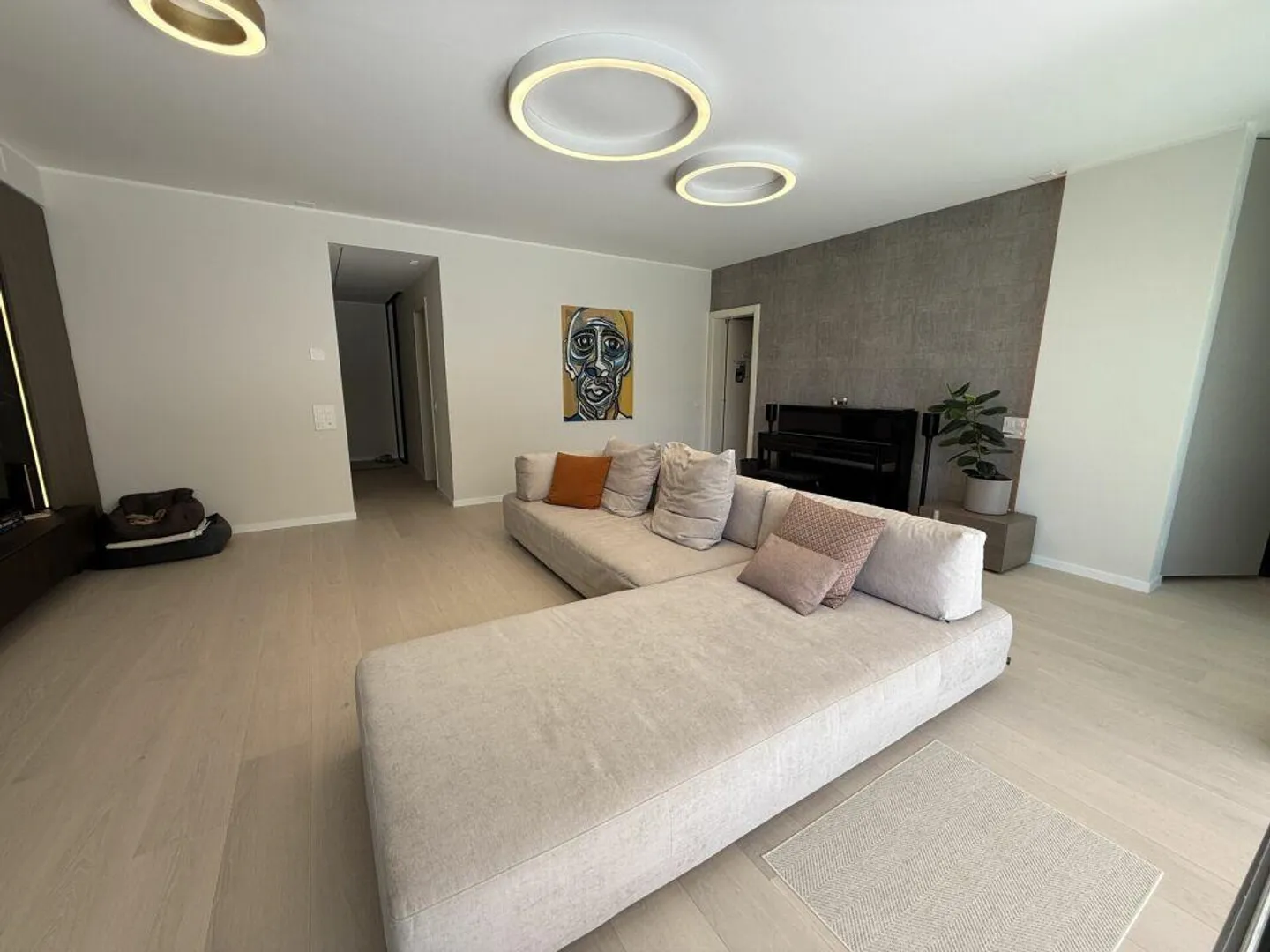 Elegante appartamento arredato di 3,5 locali, a breve distanza dalla città - Foto 3 di 7