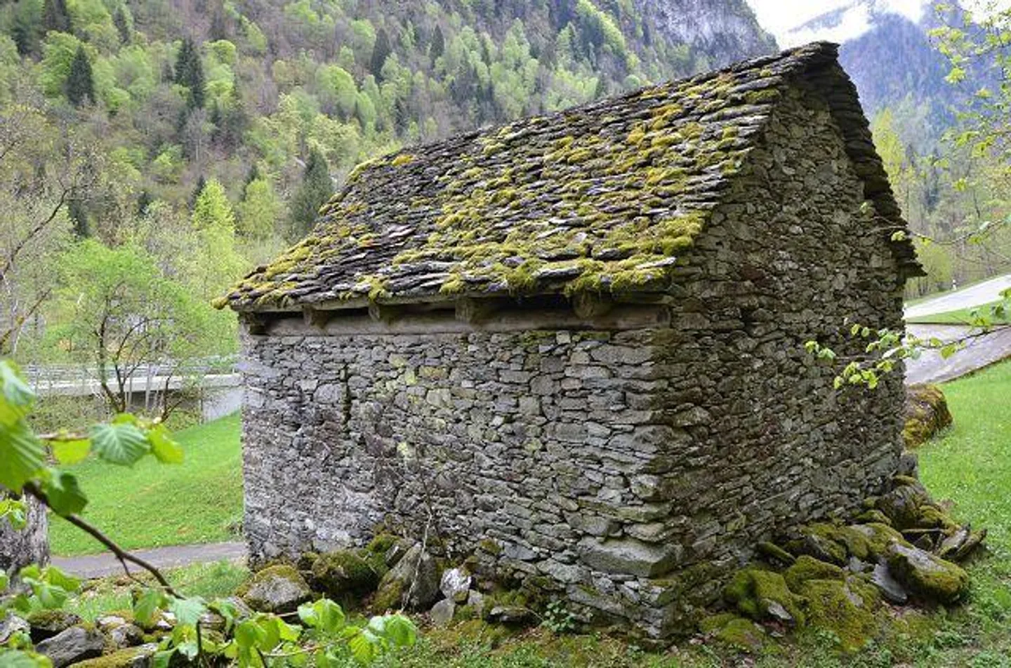 Rustico di 2 piani da ristrutturare nella natura con grande area boschiva - Foto 5 di 30