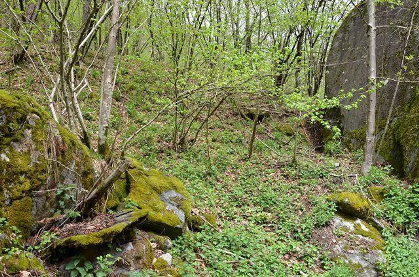 Rustico di 2 piani da ristrutturare nella natura con grande area boschiva - Foto 14 di 30