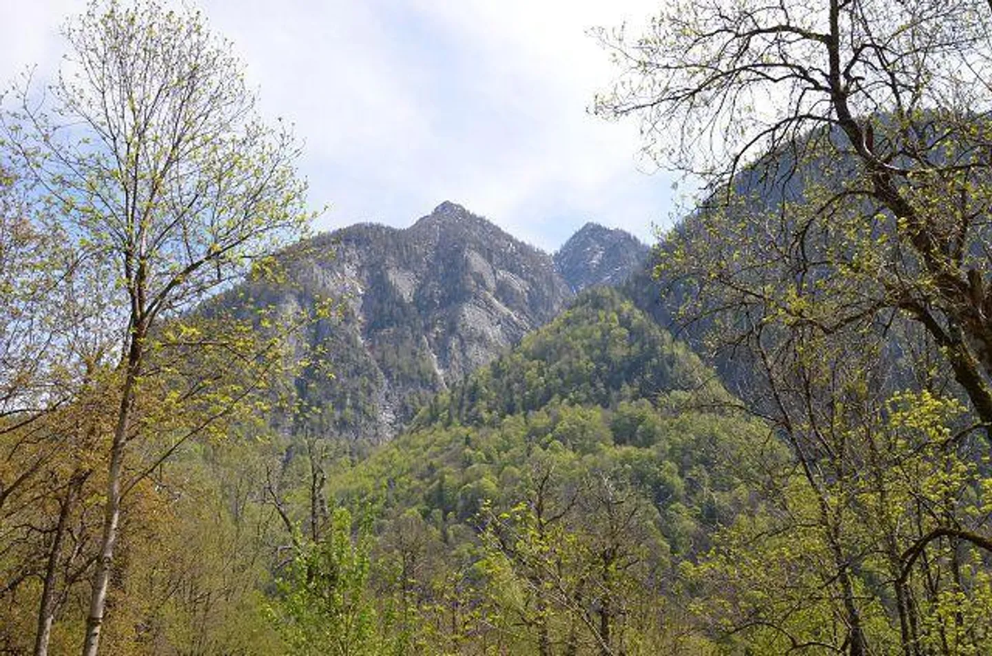 Rustico di 2 piani da ristrutturare nella natura con grande area boschiva - Foto 18 di 30