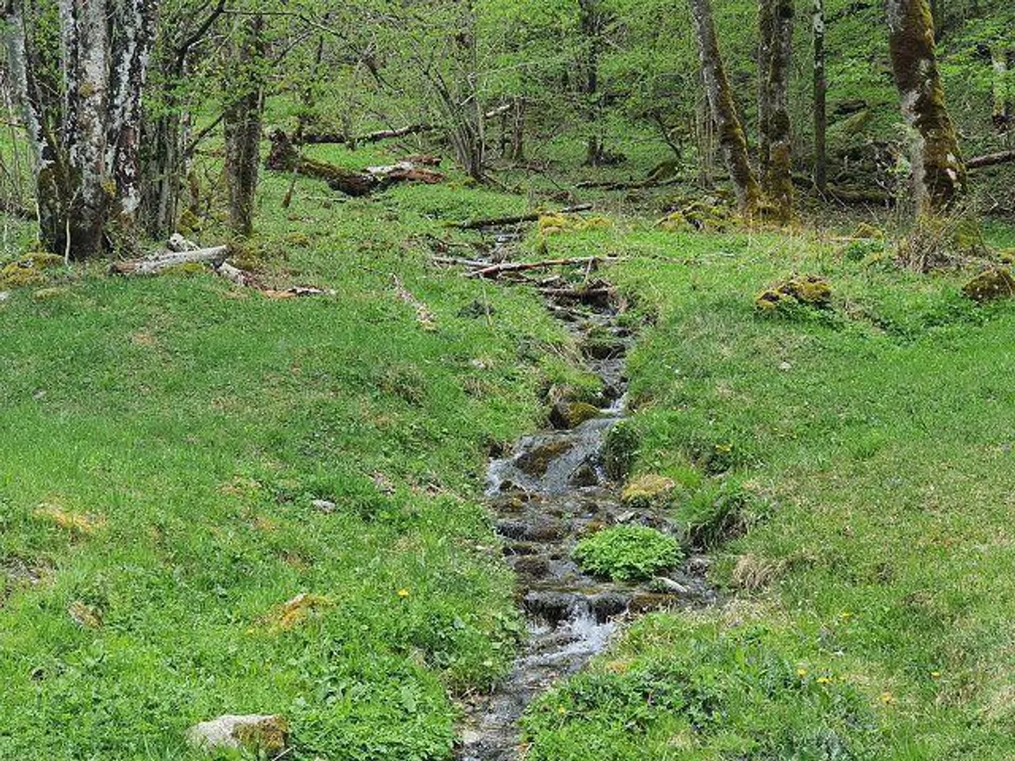 Rustico di 2 piani da ristrutturare nella natura con grande area boschiva - Foto 21 di 30