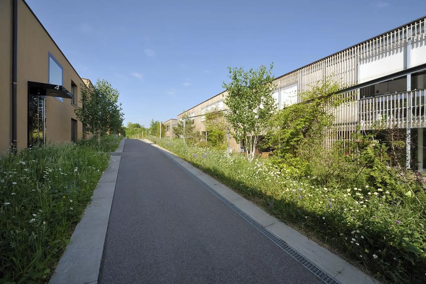 Moderno, tranquillo appartamento 3 1/2 locali con area giardino (loggia) - Foto 3 di 6