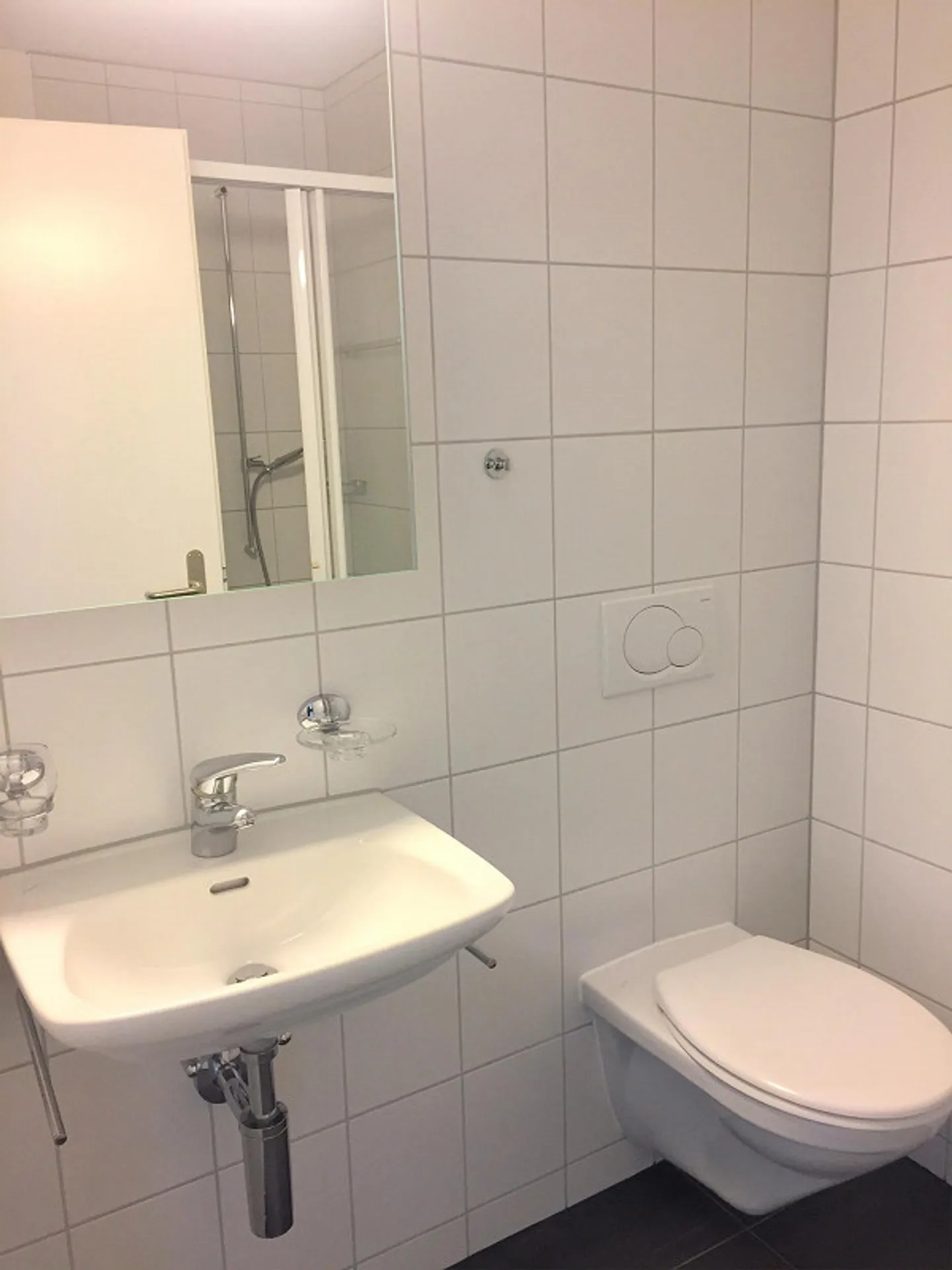 Modern 4.5-room apartment in Bonaduz - Photo 6 of 13