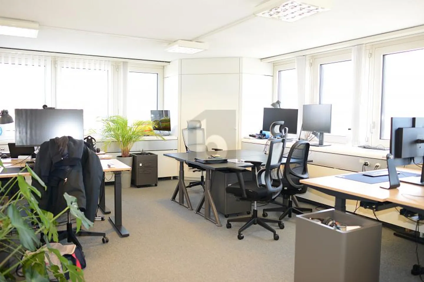 Büro 6 Zimmer - Foto 2 von 5