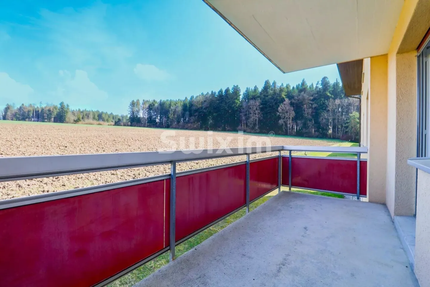 Palézieux - 2,5 stanze completamente ristrutturate - Balcone con vista sui campi - CHF 465,000 - Foto 1 di 8