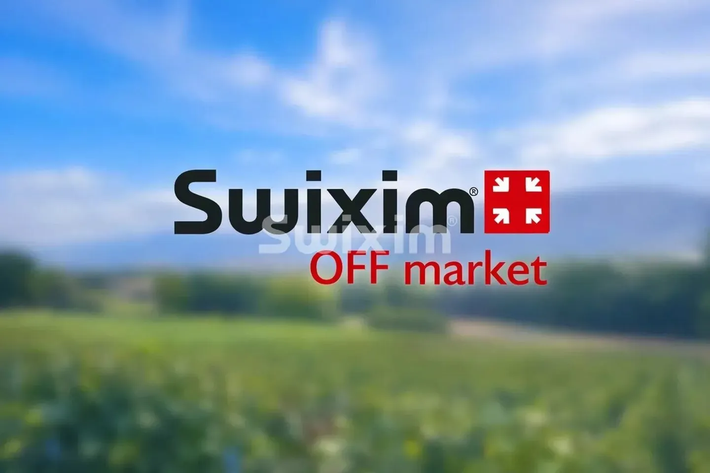 Stunning 5-Room Apartment - Photo 1 of 1