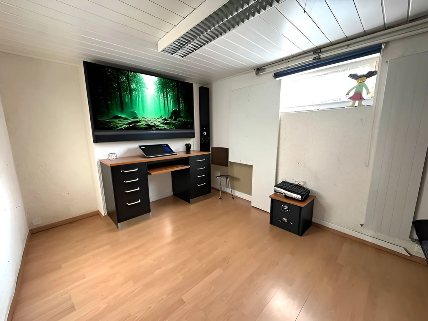 Potenziale di sviluppo a Zurigo - Foto 11 di 13