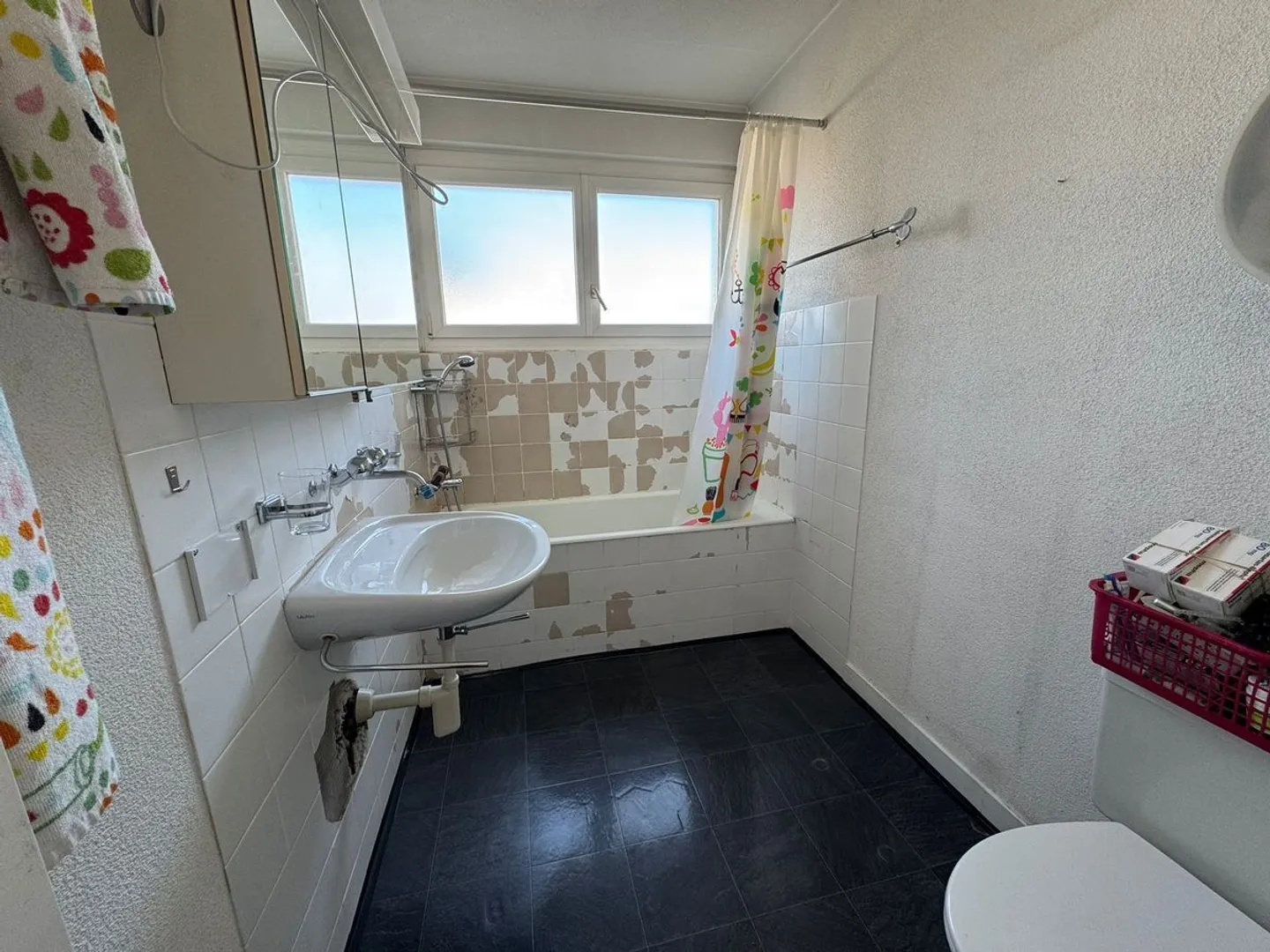 Potenziale di sviluppo a Zurigo - Foto 12 di 13