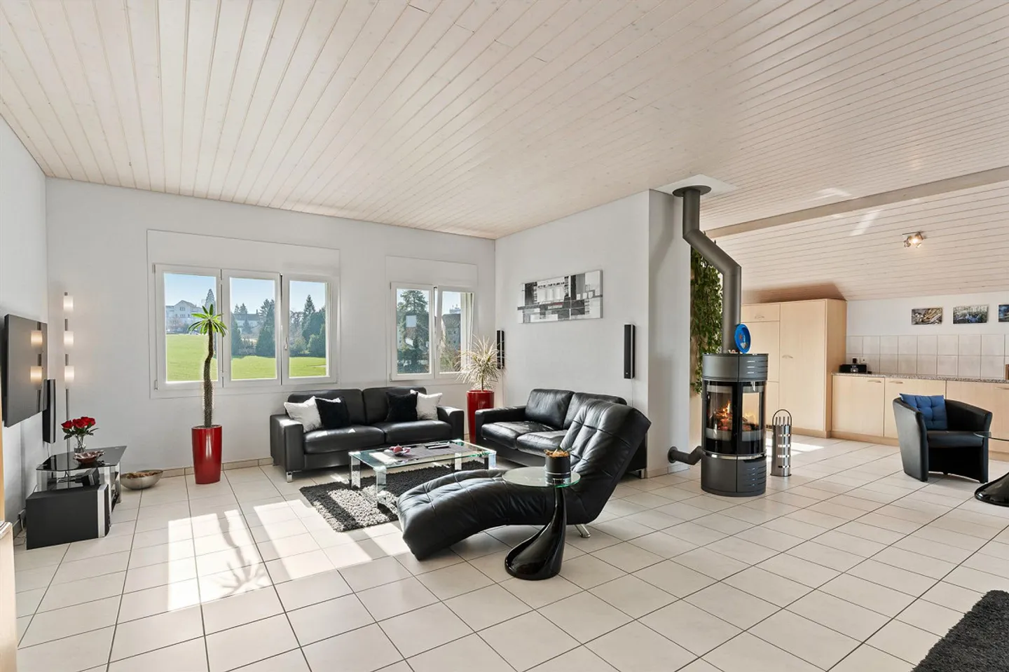 Spacious Penthouse in Reinach - Photo 4 of 15