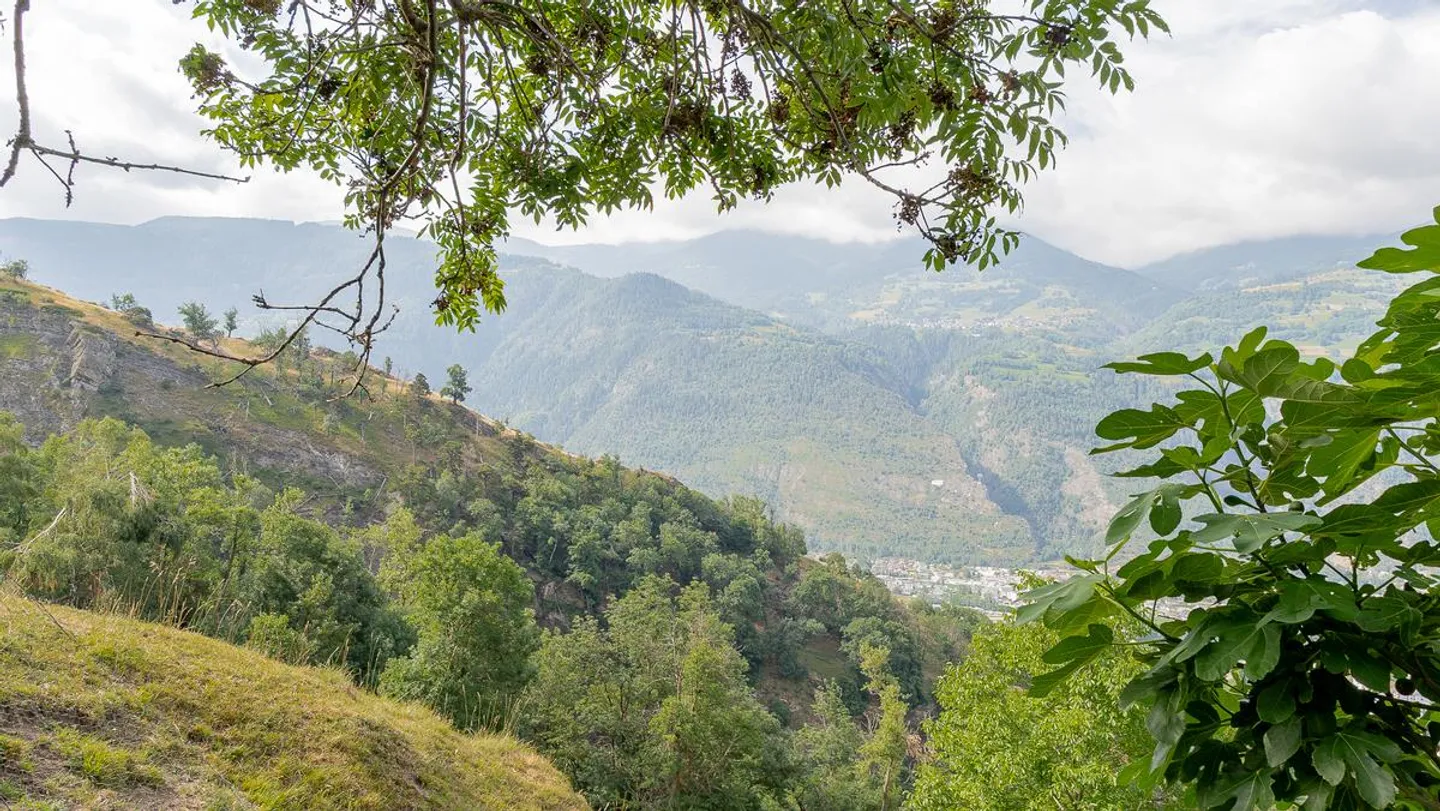 Charmantes renoviertes Chalet - Foto 22 von 25