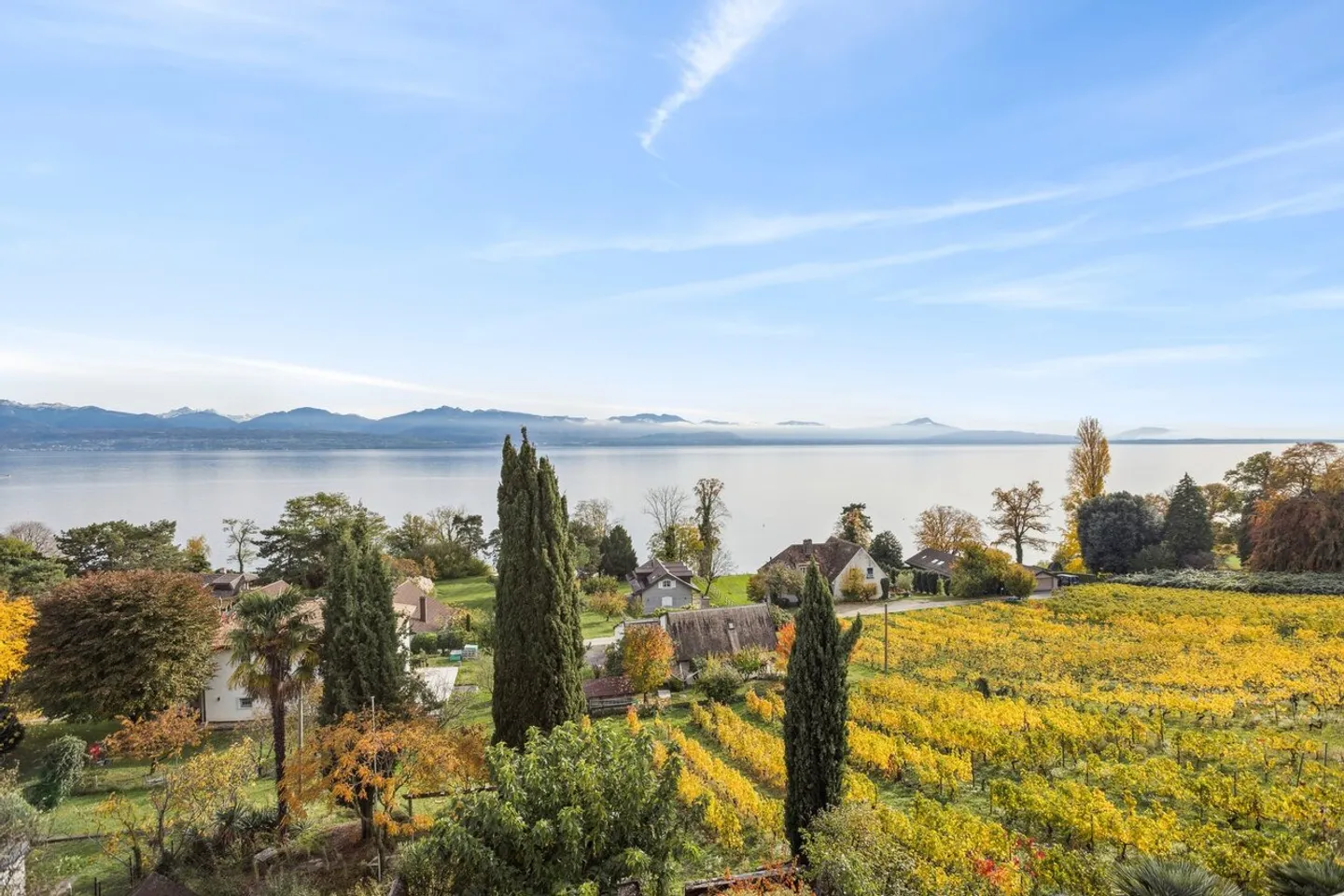 UNIQUE! The city seen from the lake - Photo 1 of 1
