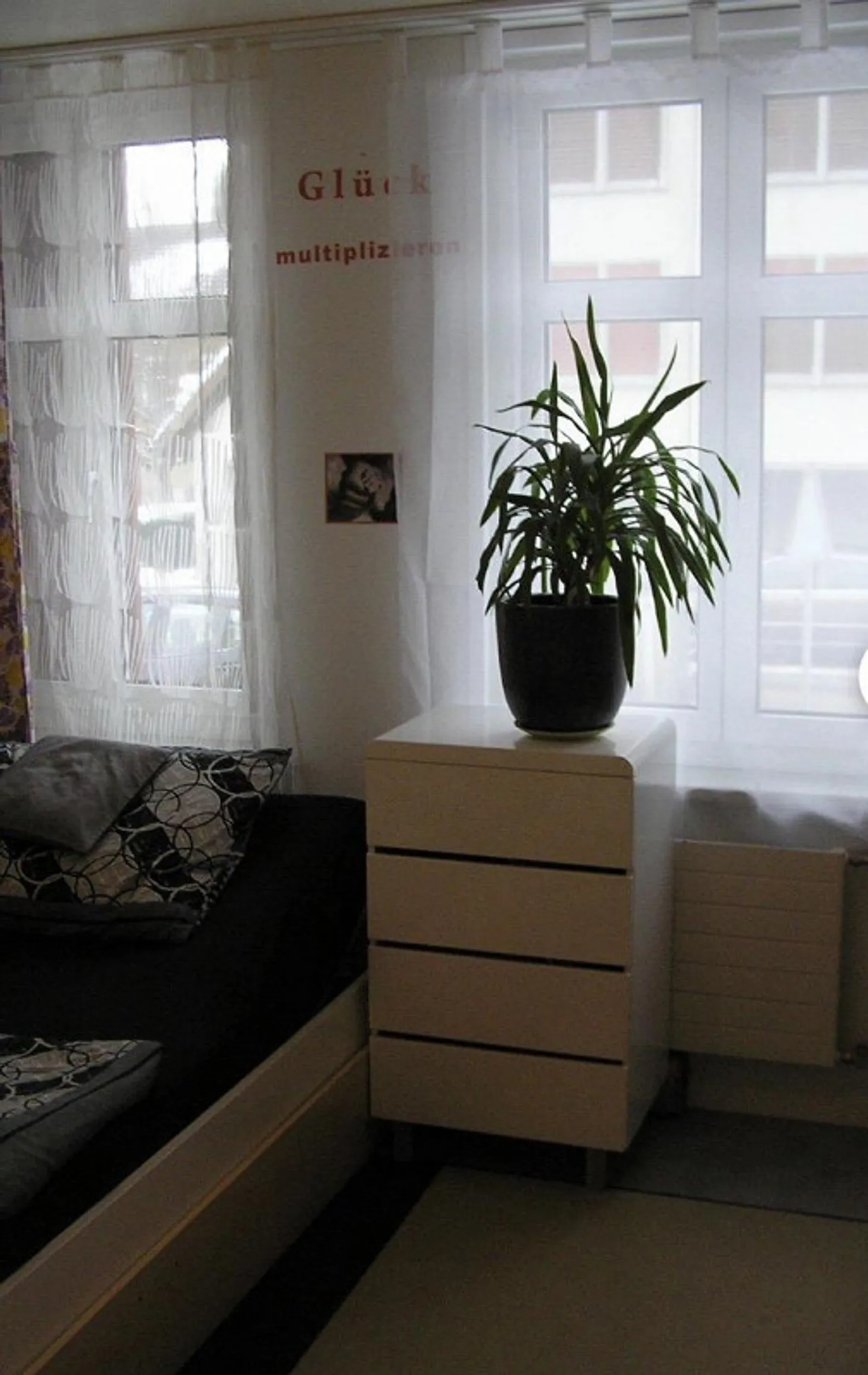 Bellissimo appartamento luminoso di 2,5 stanze al piano terra - Foto 3 di 5