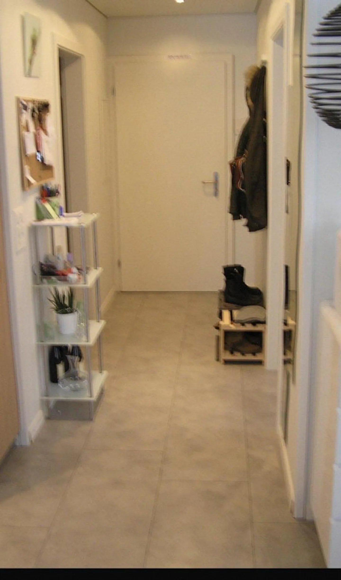 Bellissimo appartamento luminoso di 2,5 stanze al piano terra - Foto 4 di 5