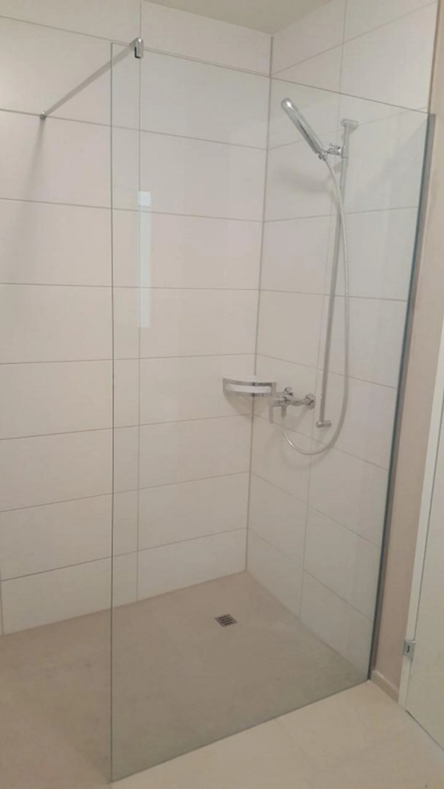 Attractive 4.5 Room Apartment Near Bachgraben - Photo 3 of 8