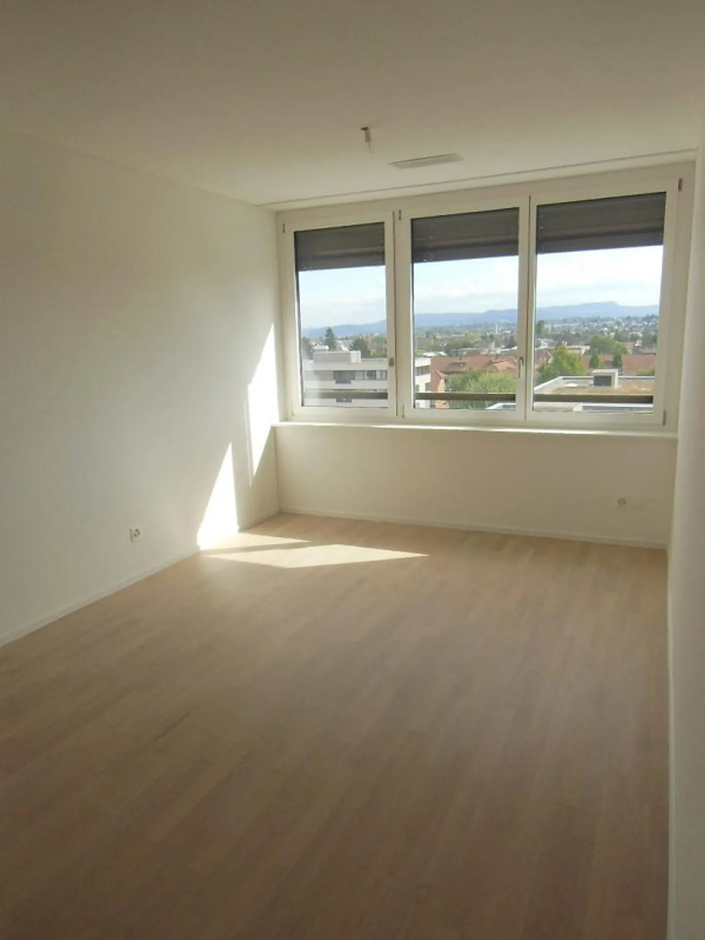 Attractive 4.5 Room Apartment Near Bachgraben - Photo 5 of 8