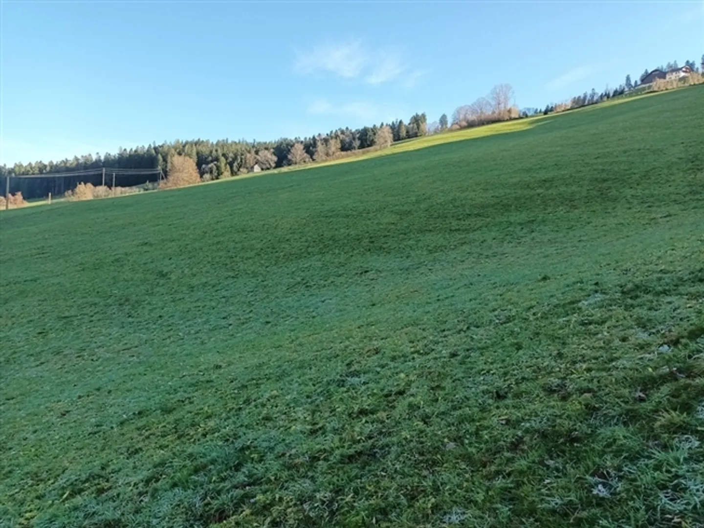 Azienda agricola nella zona montana 2 - Foto 12 di 20