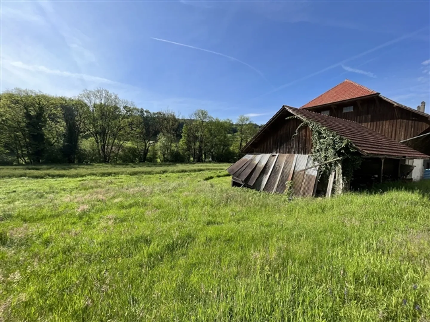 Beautiful farmhouse with great potential - Photo 2 of 8