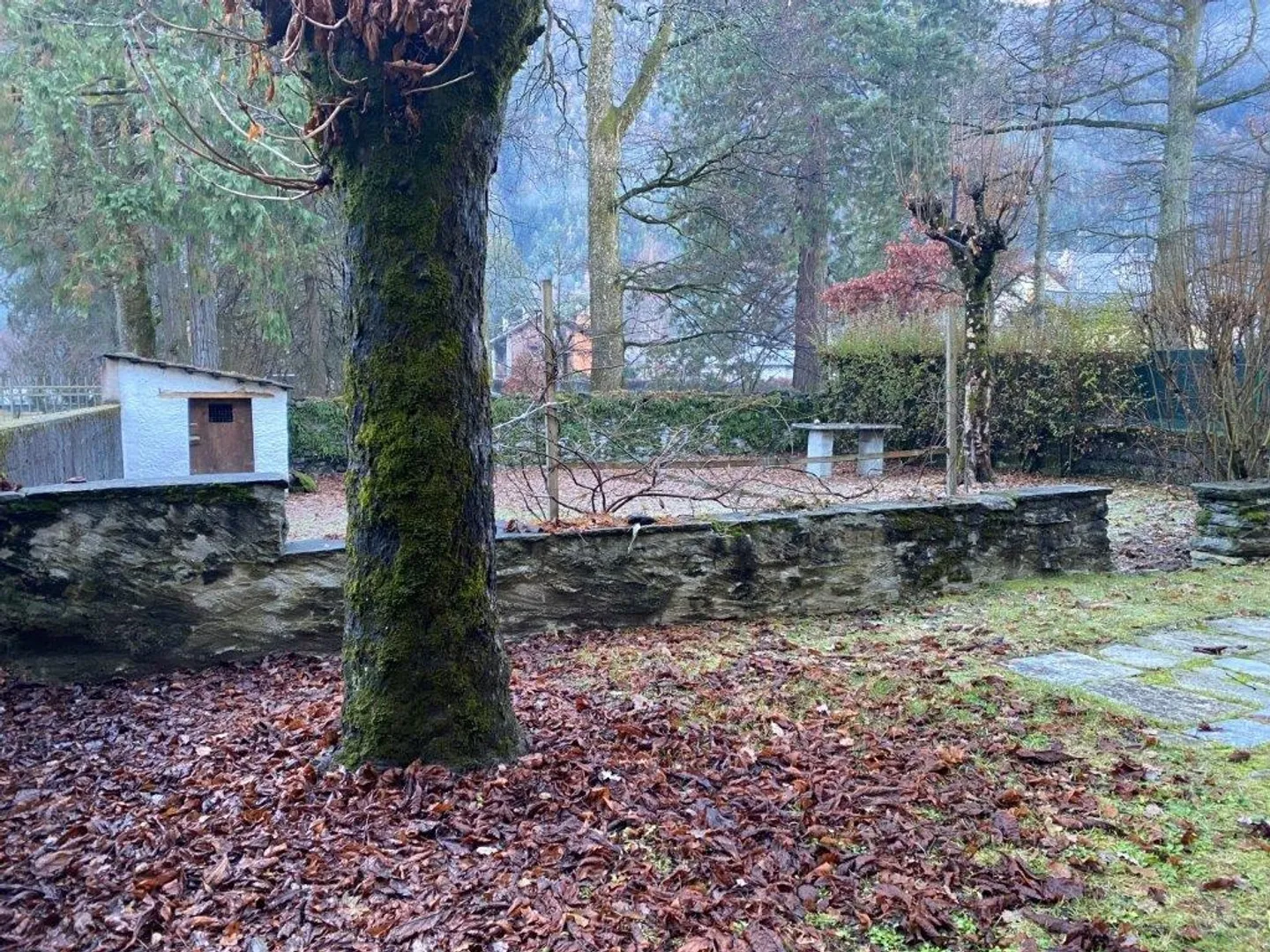 «2.5 Zimmerwohnung  Appartamento di 2.5 locali» - Foto 4 di 7