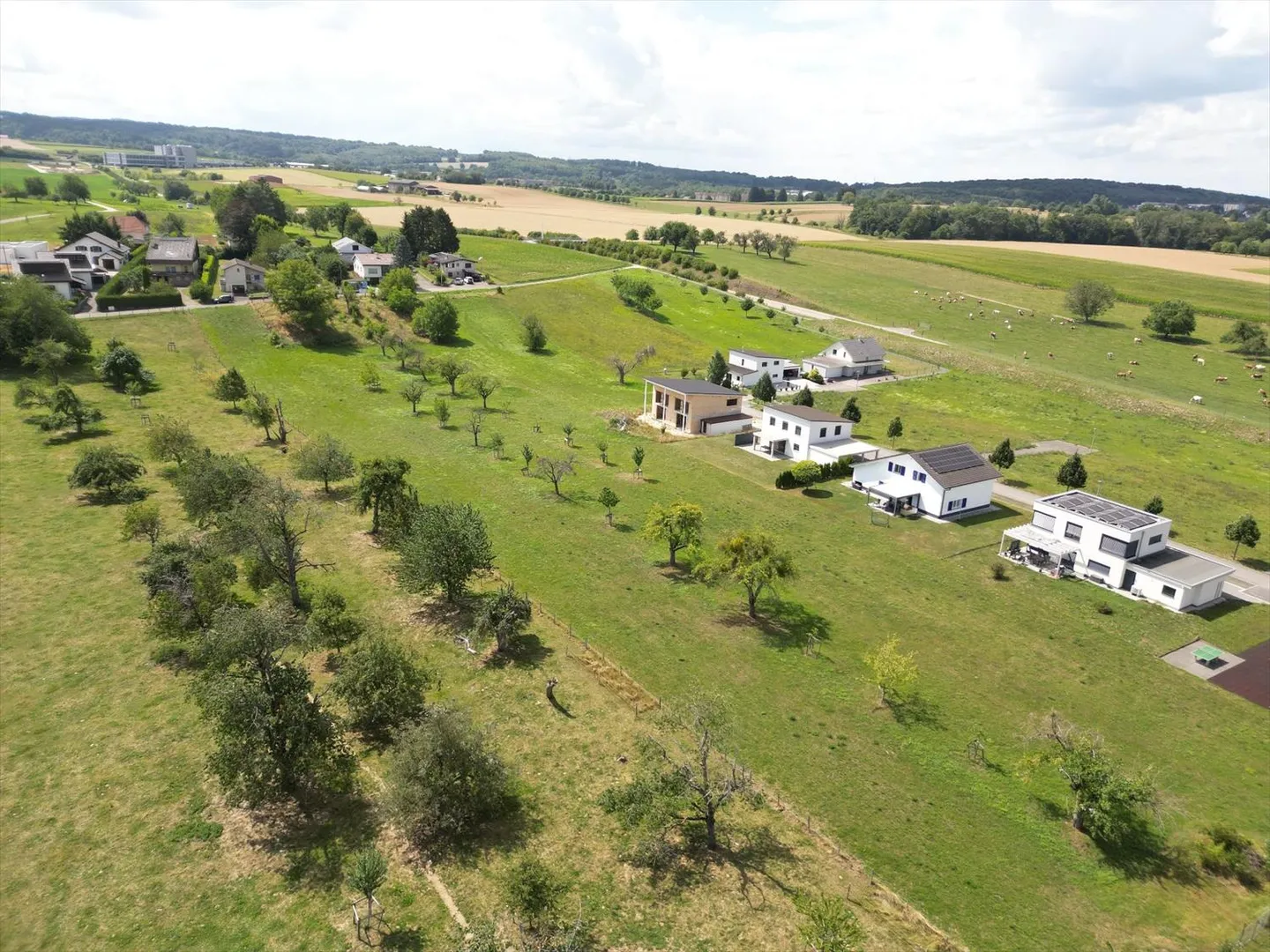 «Verwirklichen Sie Ihre Vision - Zwei Häuser zum Fertigstellen in einer grünen Umgebung» - Foto 7 von 13