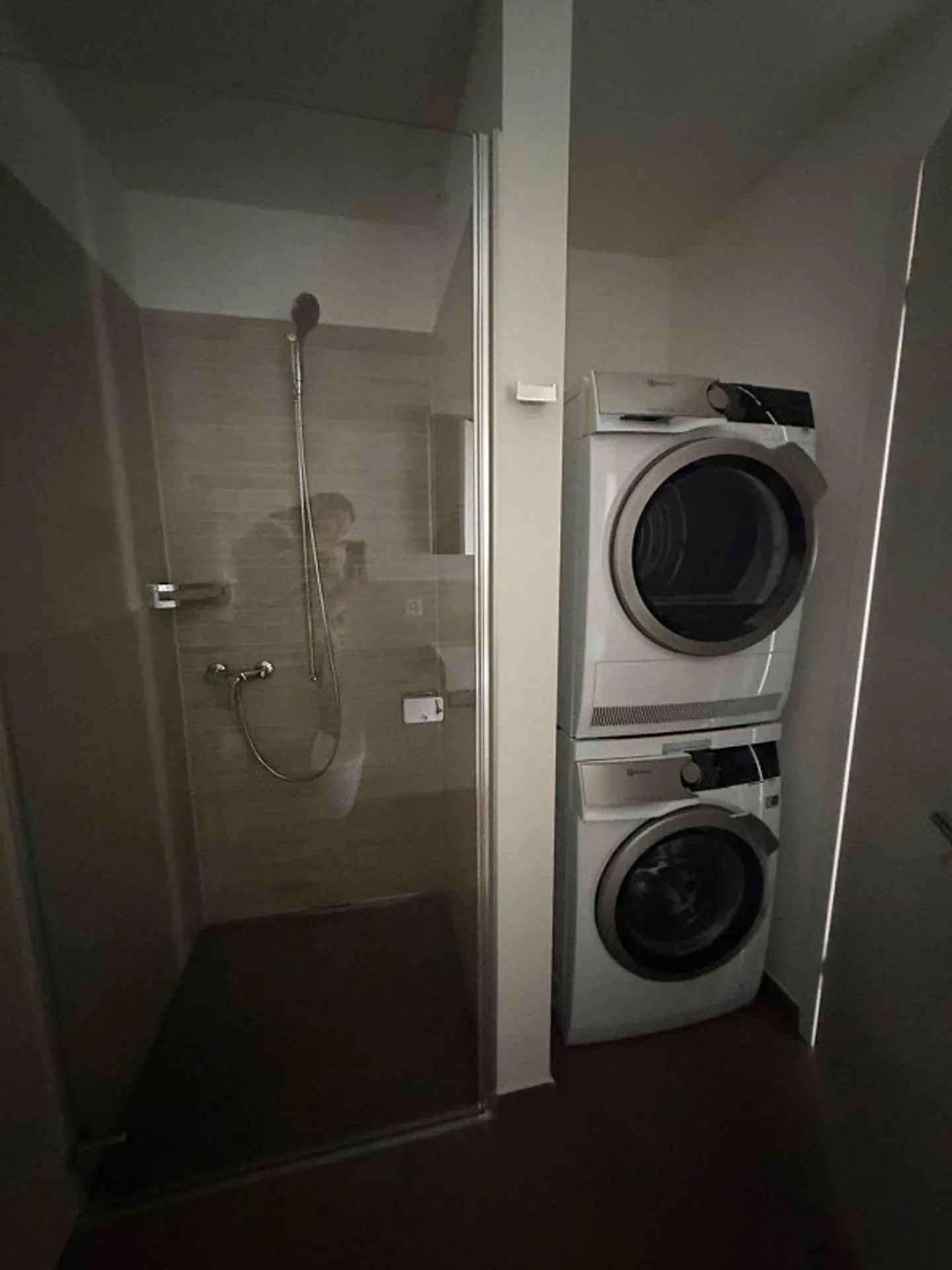 Modern 3.5-room apartment in Agno with garden - Photo 4 of 10